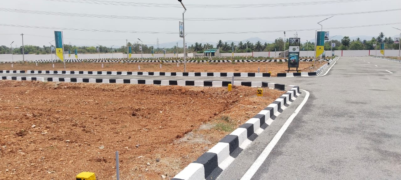 Property Development